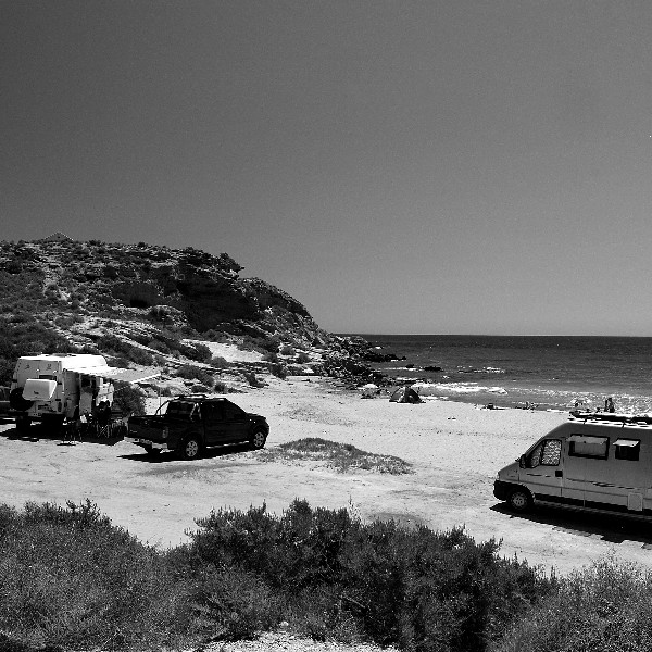 mares_10_.jpg mares_10_.jpg