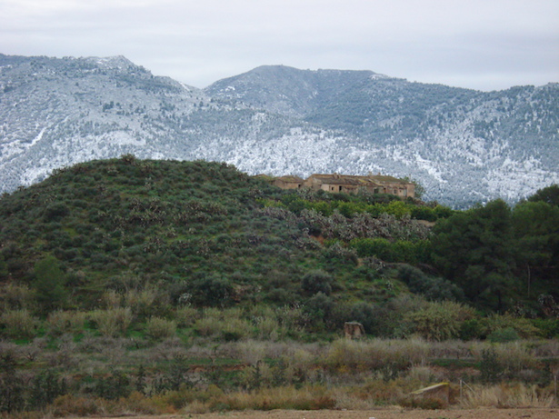 carrascoy_nieve.jpeg carrascoy_nieve.jpeg