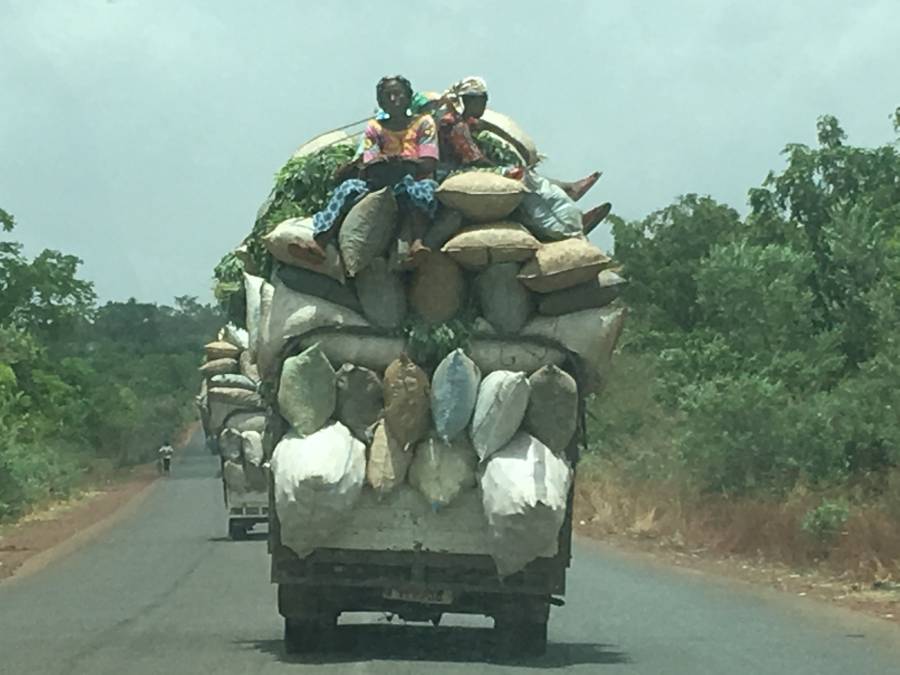 sen_oras.jpg sen_oras.jpg