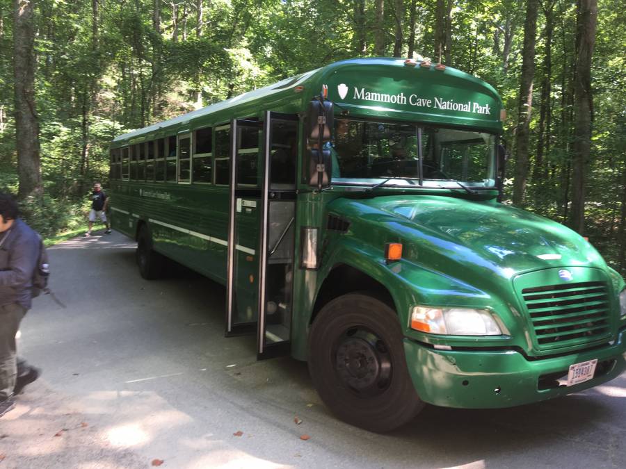 mammoth.jpg mammoth.jpg