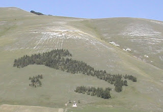 selva_italia.jpg selva_italia.jpg