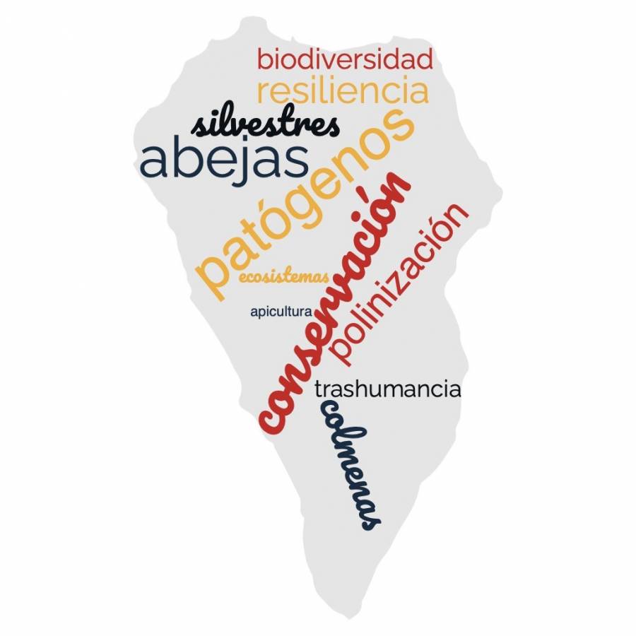 logo_apisalus_def.jpg logo_apisalus_def.jpg