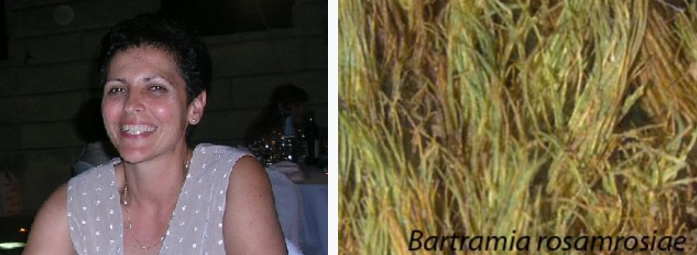 imagen_inicio_web.png imagen_inicio_web.png