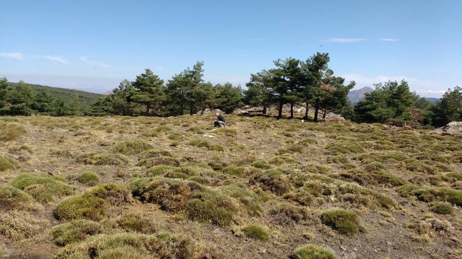 proyecto5.jpg proyecto5.jpg