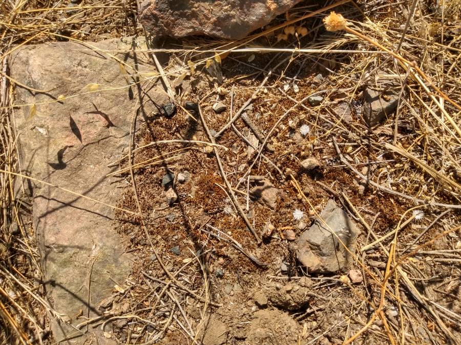 proyect14.jpg proyect14.jpg