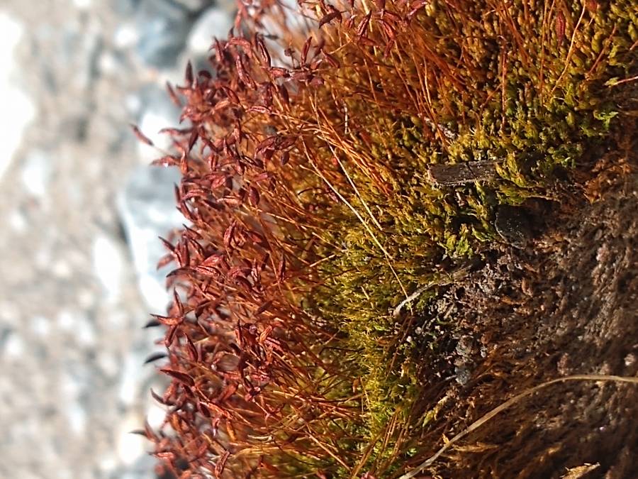 proyecto7.jpg proyecto7.jpg