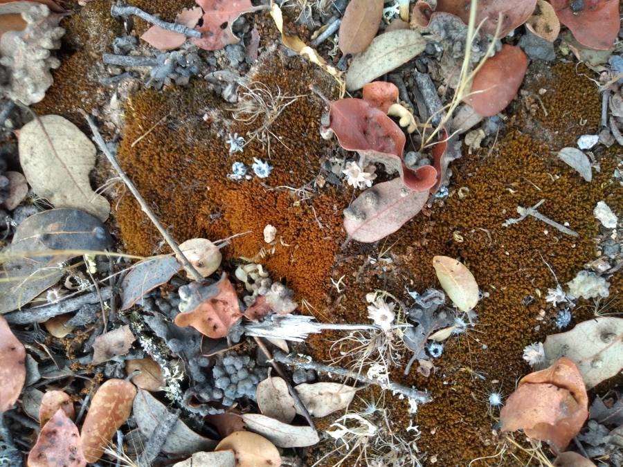 proyect6.jpg proyect6.jpg