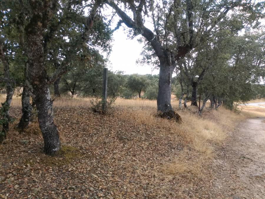 proyect5.jpg proyect5.jpg