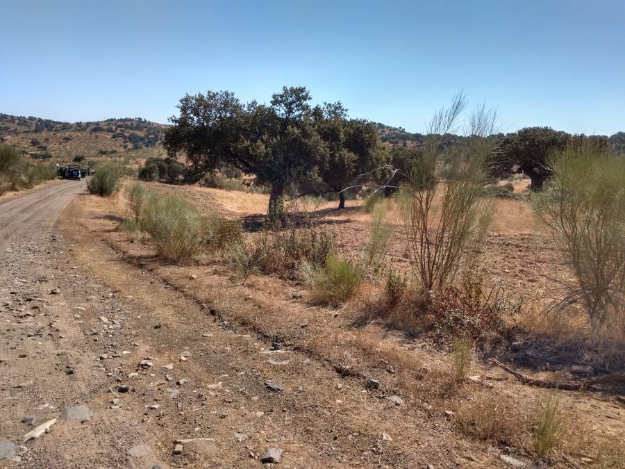 proyect13.jpg proyect13.jpg