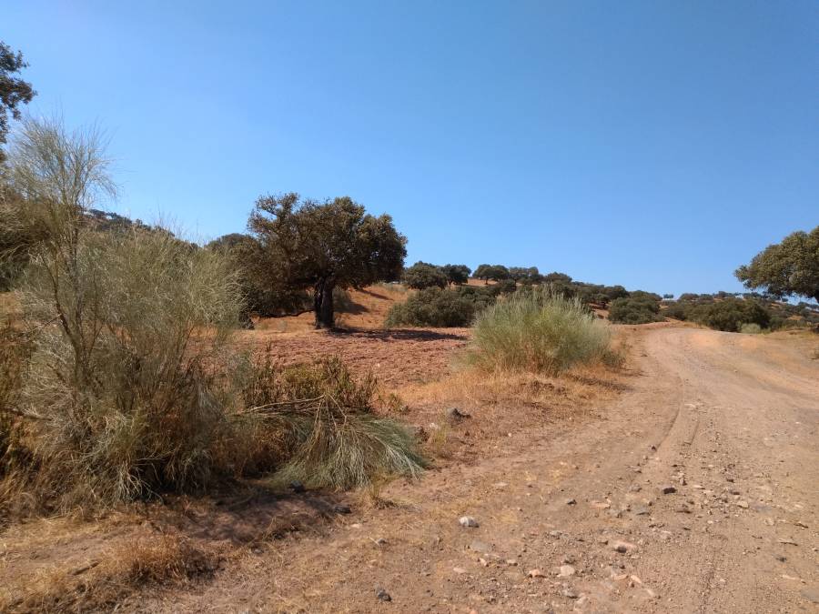 proyect12.jpg proyect12.jpg