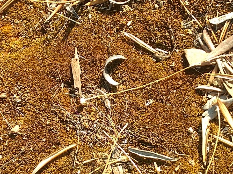 proyect10.jpg proyect10.jpg