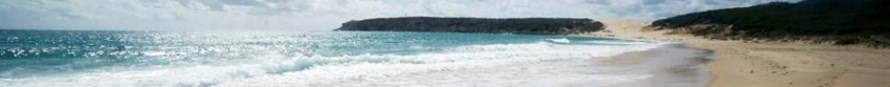 Logo del sitio web: vista de la Playa de Bolonia, en el Parque Natural del Estrecho